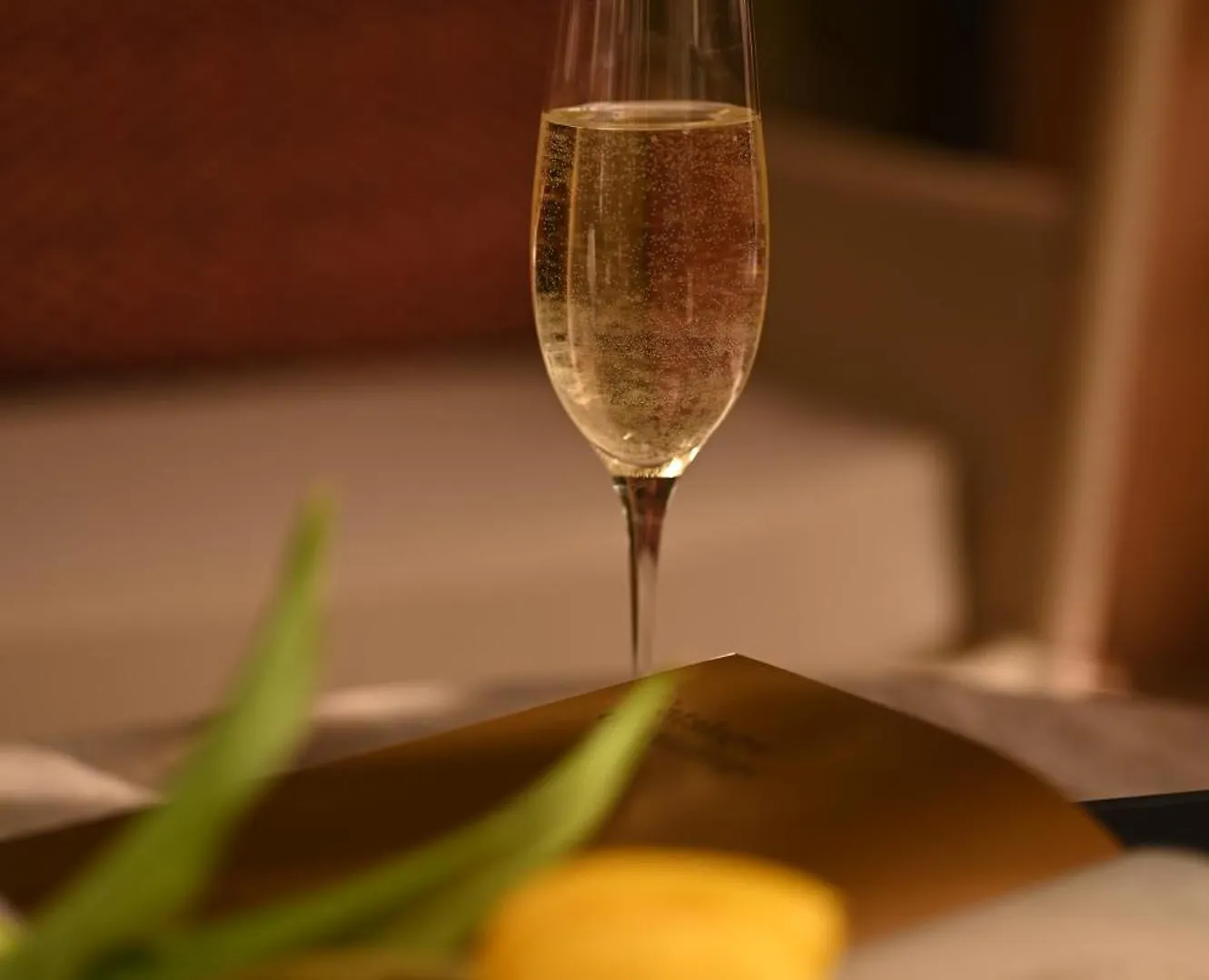 Niche Boutique Hotel Tirana Albanien